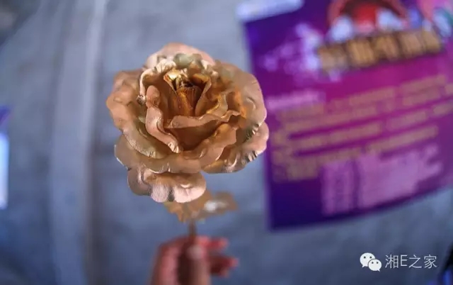 天嬌汽車文化節(jié)-一個可以吃喝玩樂的汽車節(jié)！