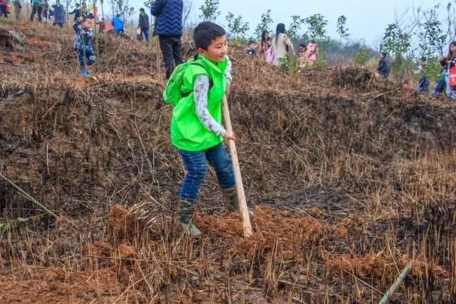 建設(shè)生態(tài)邵陽城，天嬌集團在行動