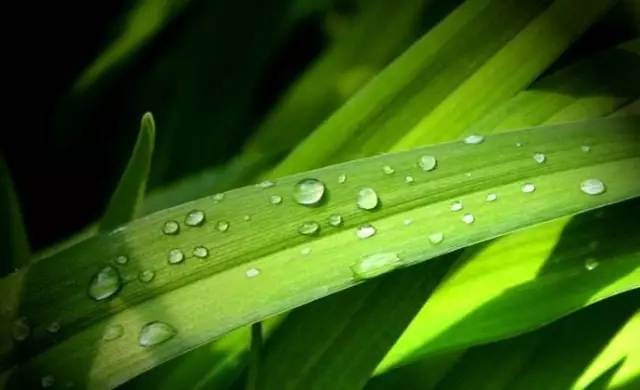 白露丨與CR-V一起，品味秋天的氣息