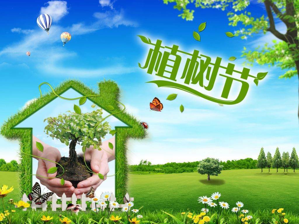 北京現(xiàn)代“智現(xiàn)代，植未來”，你我共建森林邵陽