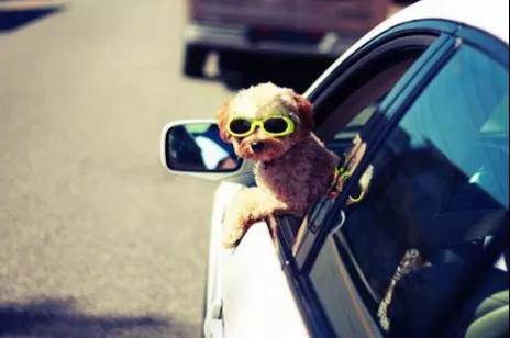 你所不知道的真相，車窗保養(yǎng)有多重要