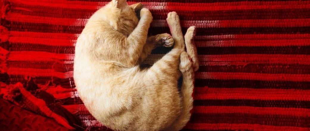 人類發(fā)展的動力，除了懶，還有對舒適的追求