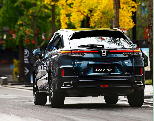 暢游樂逸蓉城，感受市井“慢生活”