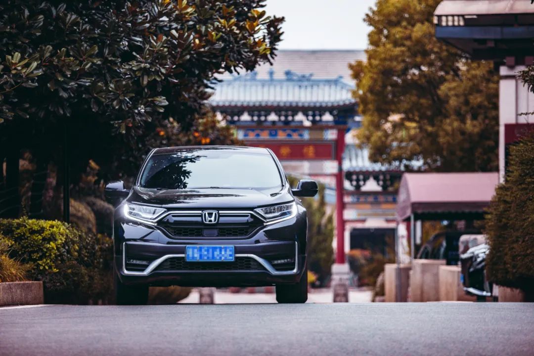 本人有料 | 愿歷經(jīng)千帆，歸來仍是少年